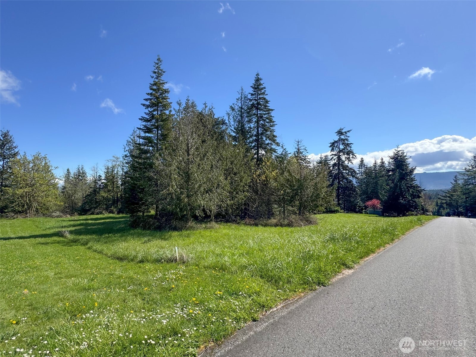 9999 Elk Pass Road Sequim, WA 98382 - Photo 8 of 40 a view of a grassy field with trees in the background