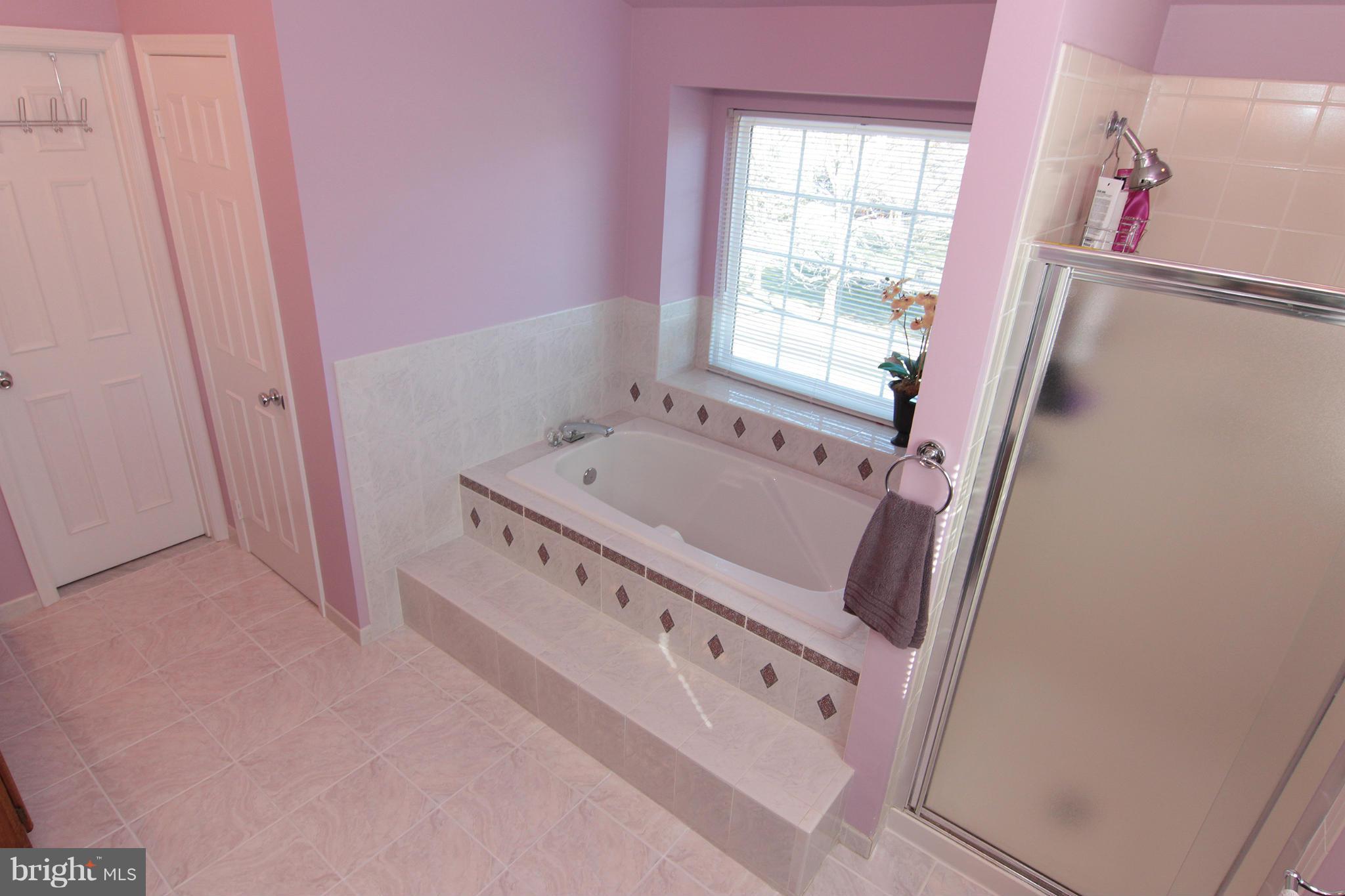 122 Minor Road Sterling, VA 20165 - Photo 20 of 30 Bath (Master)