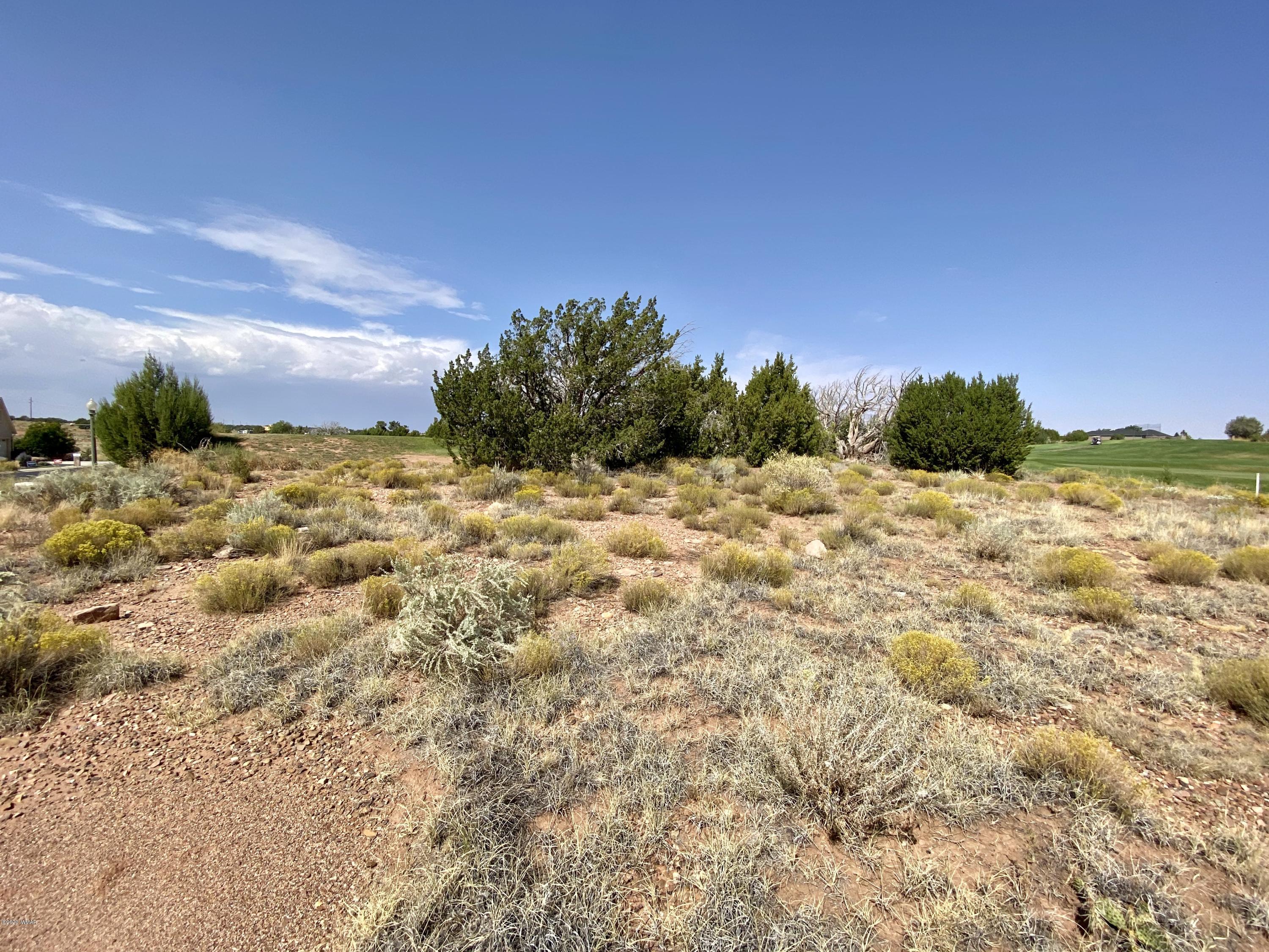 1990 Prairie Road Snowflake, AZ 85937 - Photo 18 of 29 Gallery Image 18