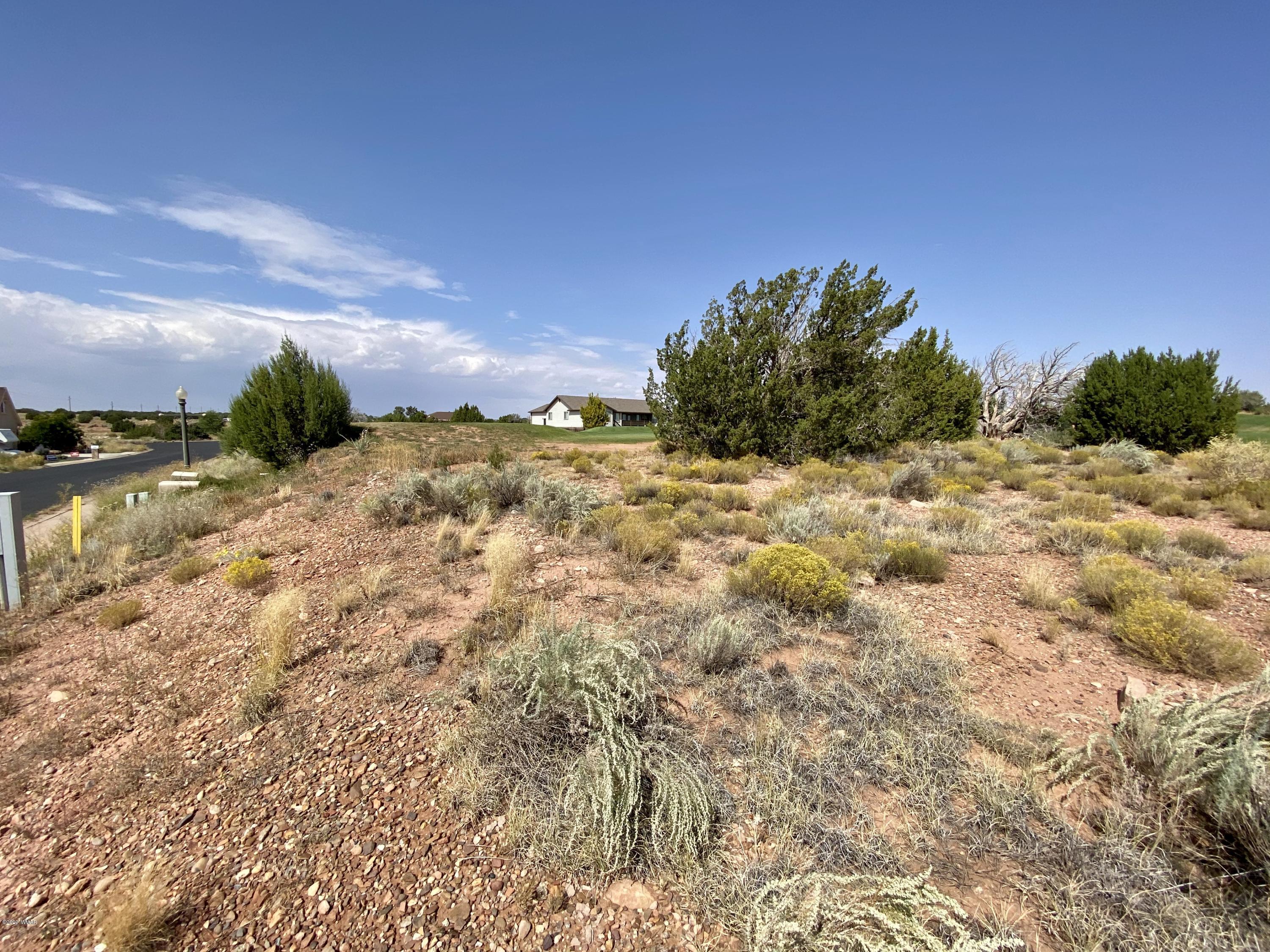 1990 Prairie Road Snowflake, AZ 85937 - Photo 19 of 29 Gallery Image 19