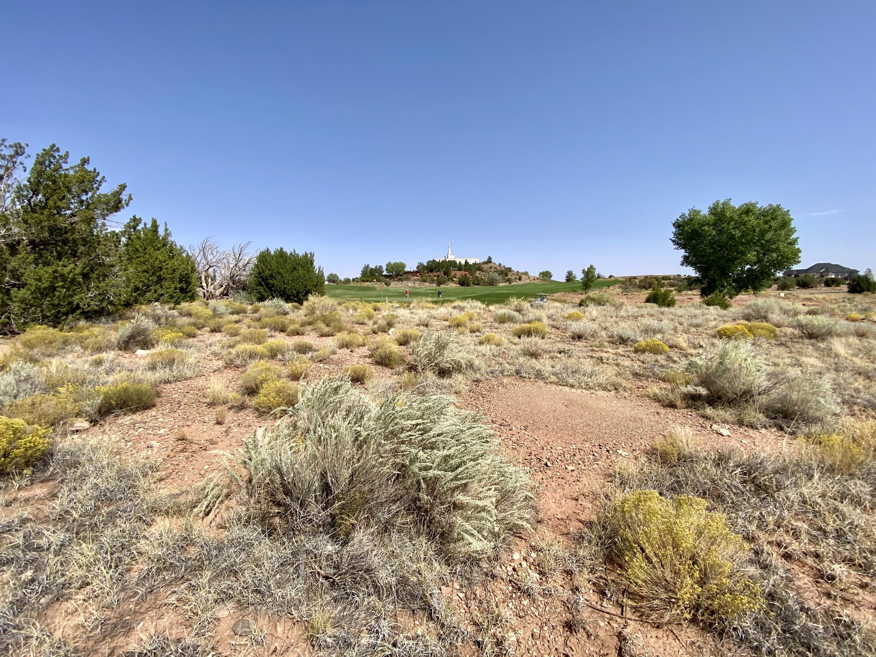 1990 Prairie Road Snowflake, AZ 85937 - Photo 21 of 29 Gallery Image 21