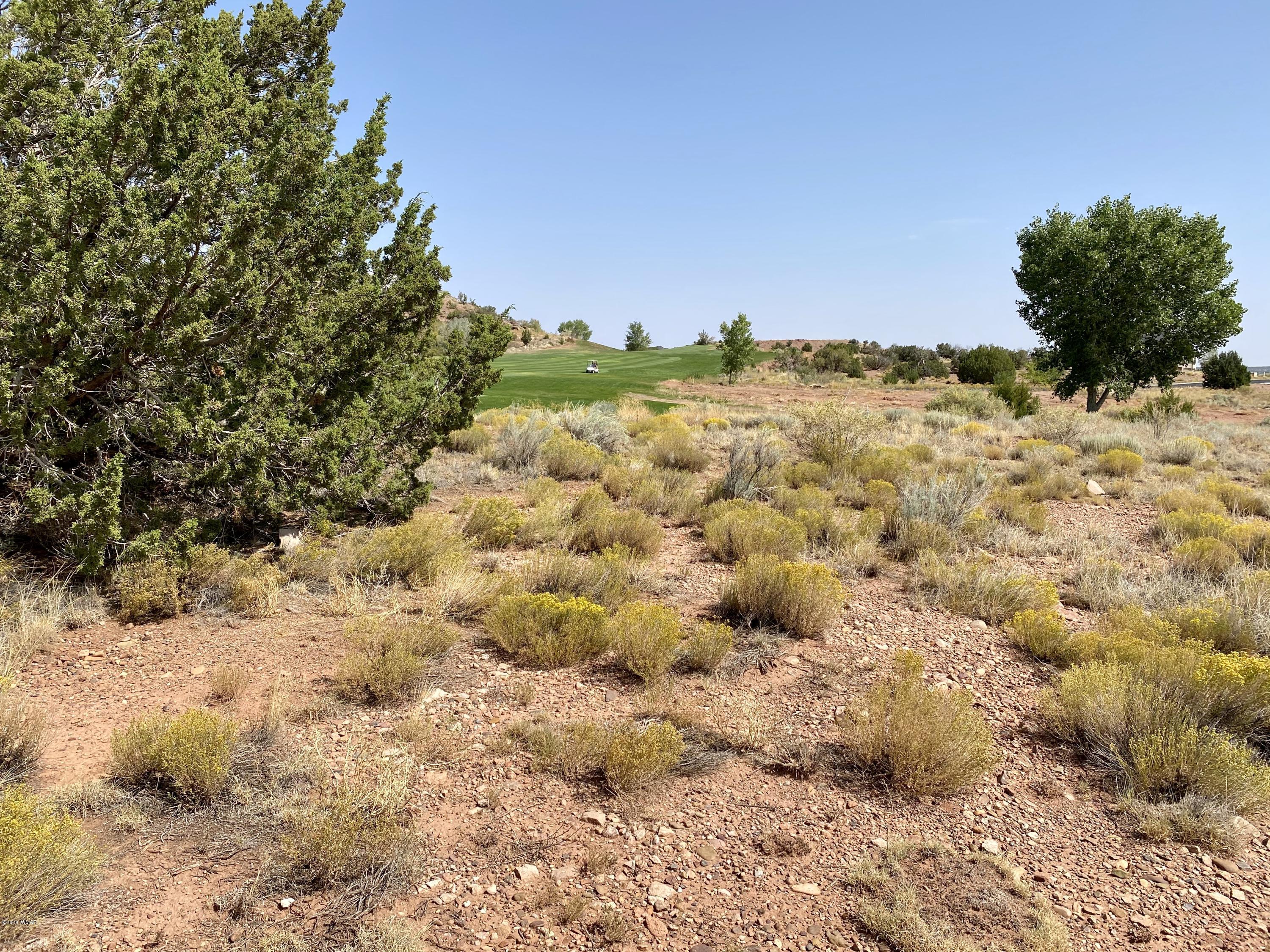 1990 Prairie Road Snowflake, AZ 85937 - Photo 24 of 29 Gallery Image 24