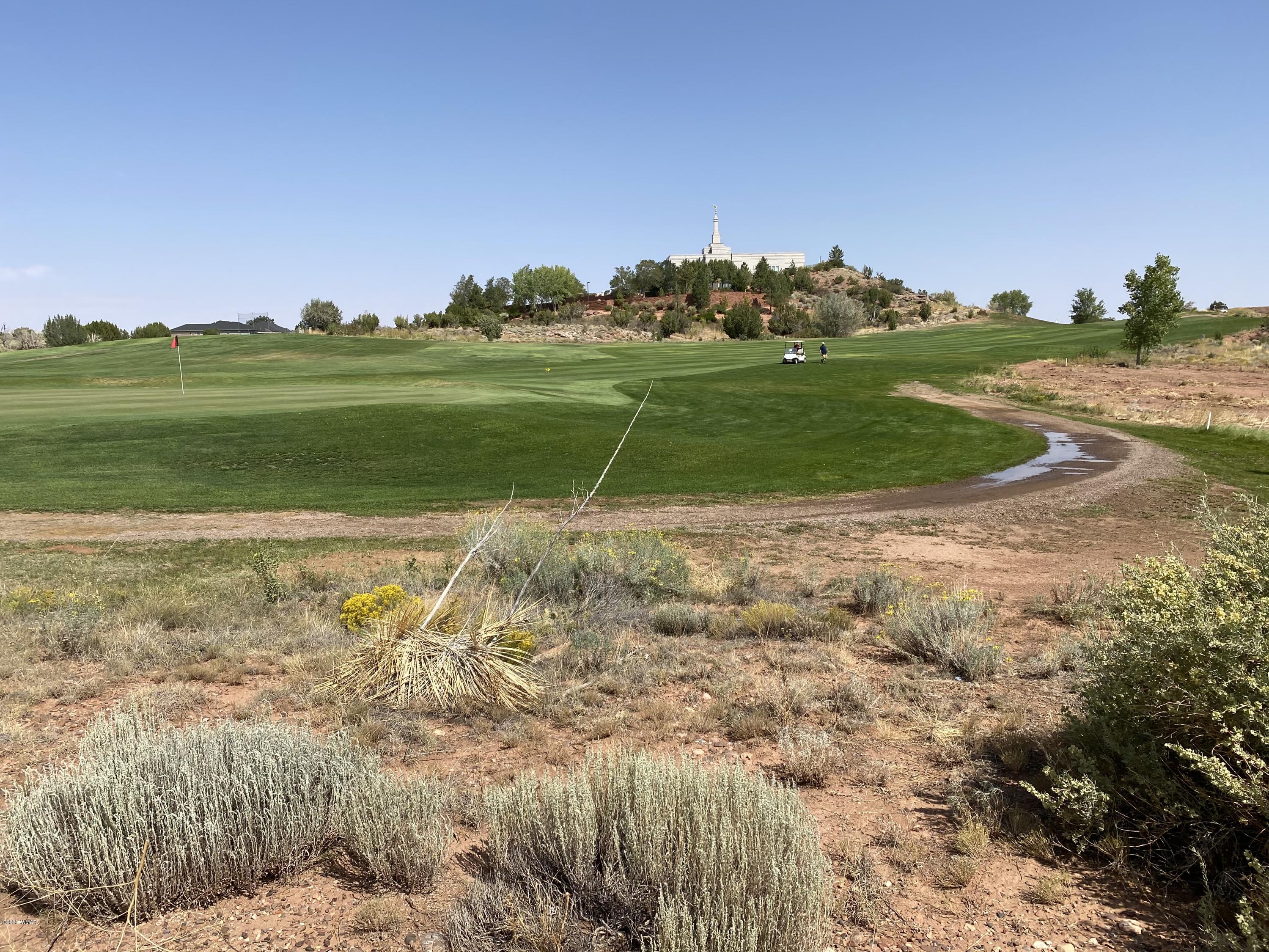 1990 Prairie Road Snowflake, AZ 85937 - Photo 3 of 29 Gallery Image 3