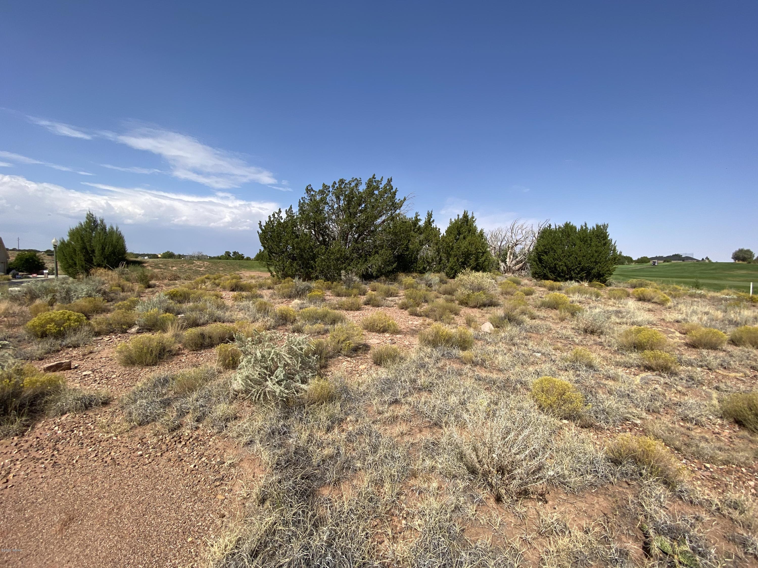 1990 Prairie Road Snowflake, AZ 85937 - Photo 4 of 29 Gallery Image 4
