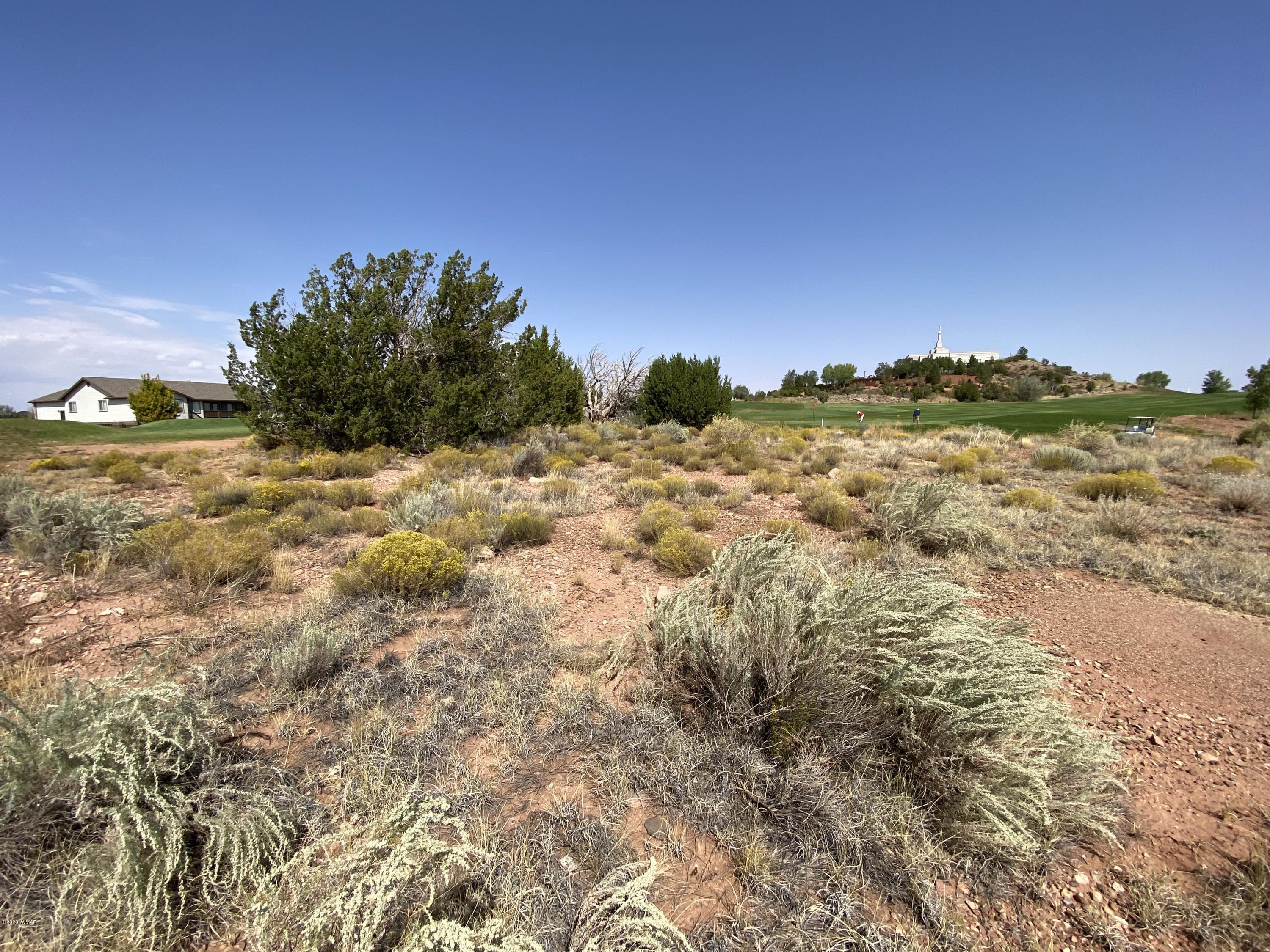 1990 Prairie Road Snowflake, AZ 85937 - Photo 6 of 29 Gallery Image 6