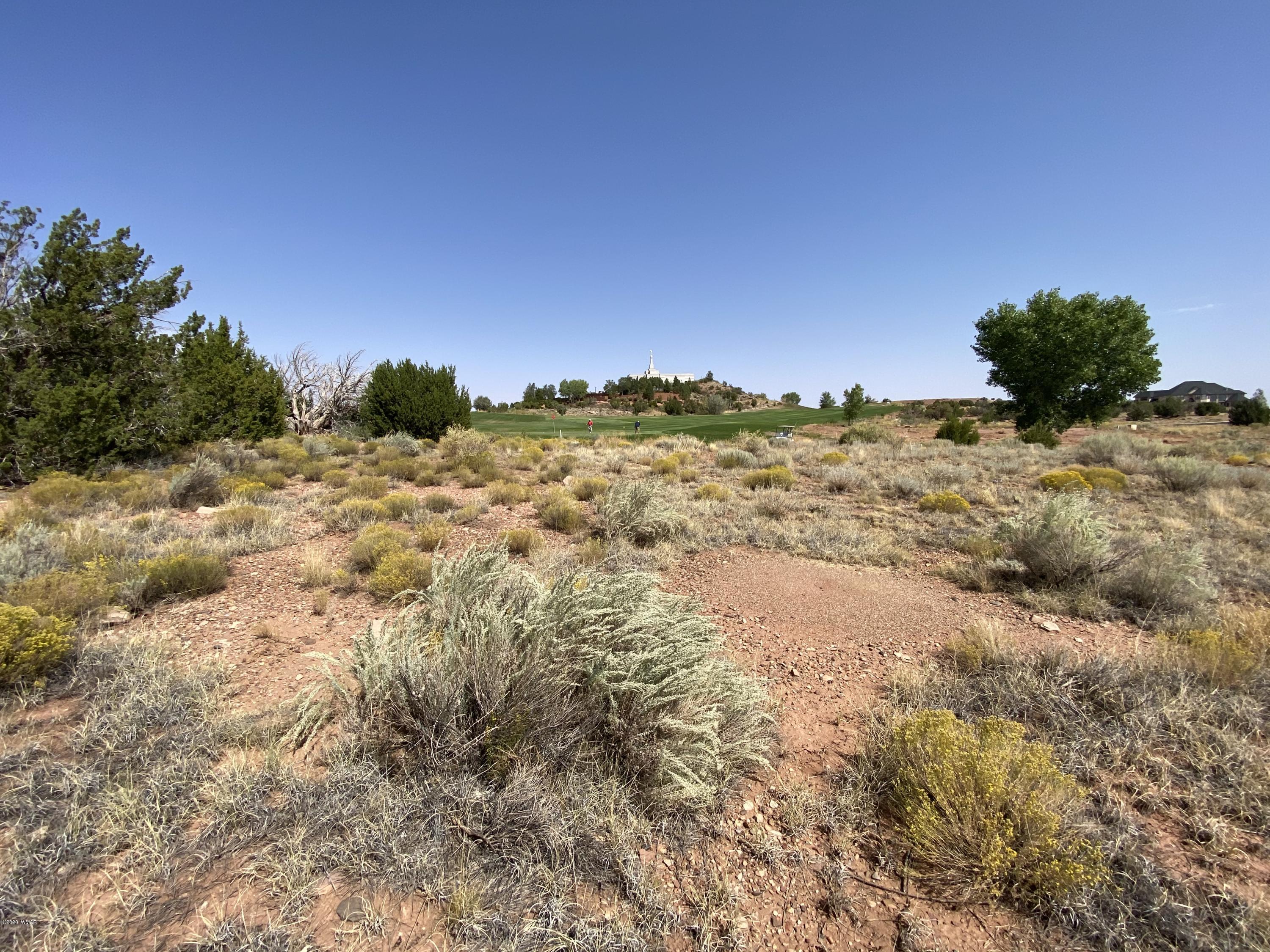 1990 Prairie Road Snowflake, AZ 85937 - Photo 7 of 29 Gallery Image 7