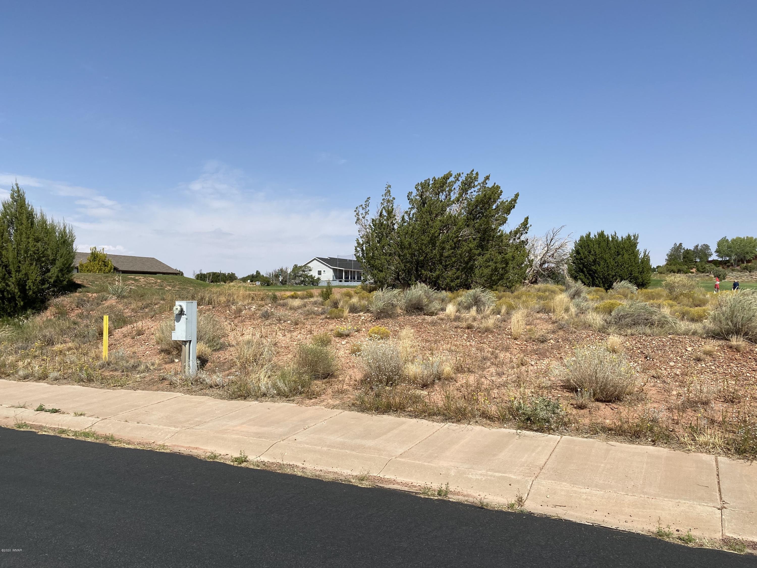 1990 Prairie Road Snowflake, AZ 85937 - Photo 8 of 29 Gallery Image 8