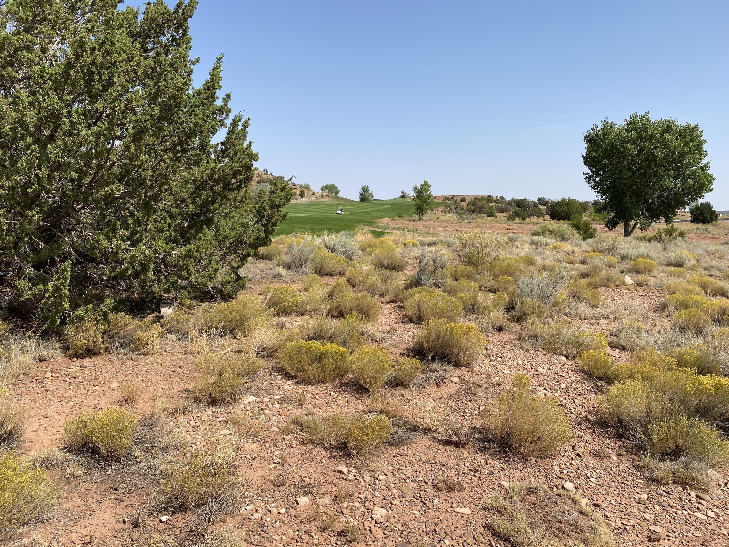 1990 Prairie Road Snowflake, AZ 85937 - Photo 10 of 29 Gallery Image 10
