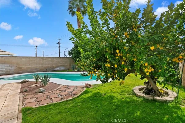 a view of a patio with table and chairs potted plants and a large tree