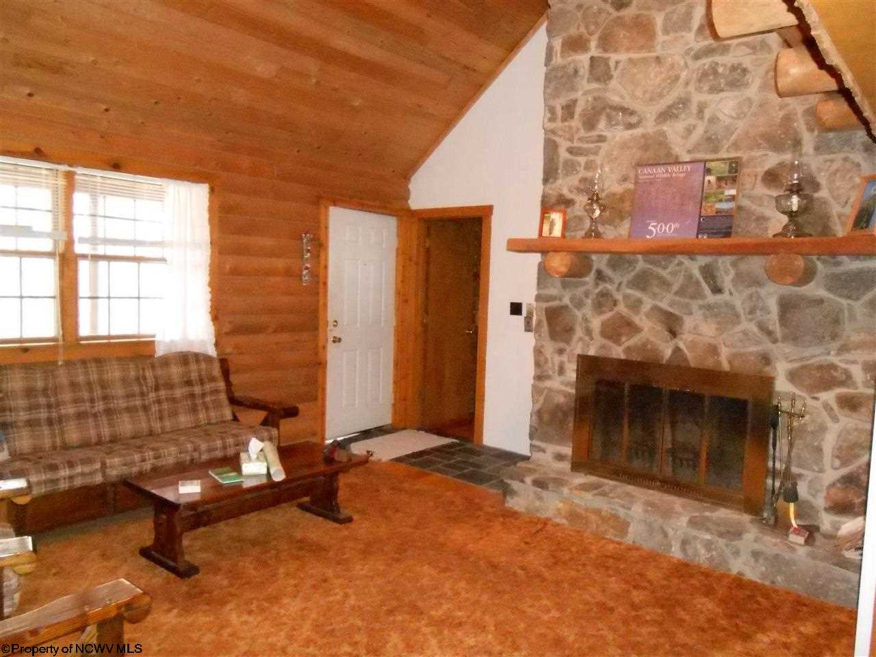 127 Cub Run Road Davis, WV 26260 - Photo 2 of 10 Gallery Image 2