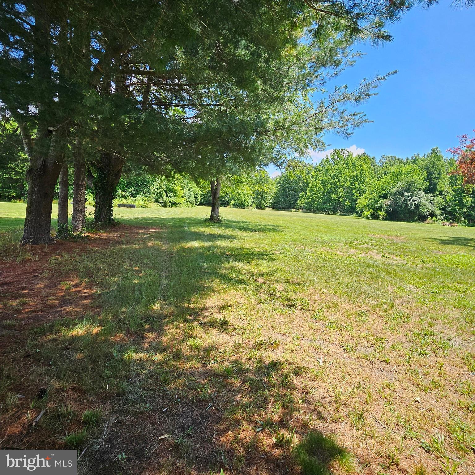 788 Holletts Corner Road Clayton, DE 19938 - Photo 19 of 20 Endless possibilities!