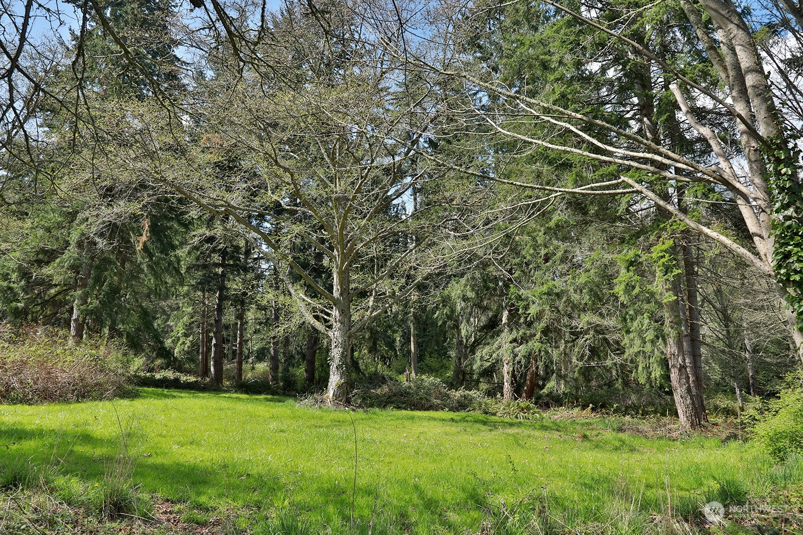 5697 Wilkinson Road Langley, WA 98260 - Photo 19 of 37 Gallery Image 19