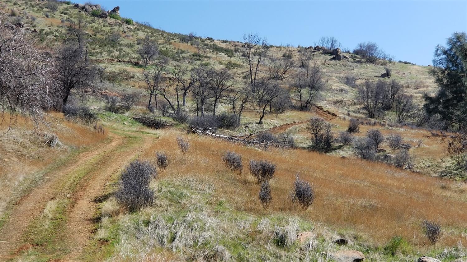 8256 Hunters Valley Road Mariposa, CA 95338 - Photo 5 of 9 Gallery Image 5