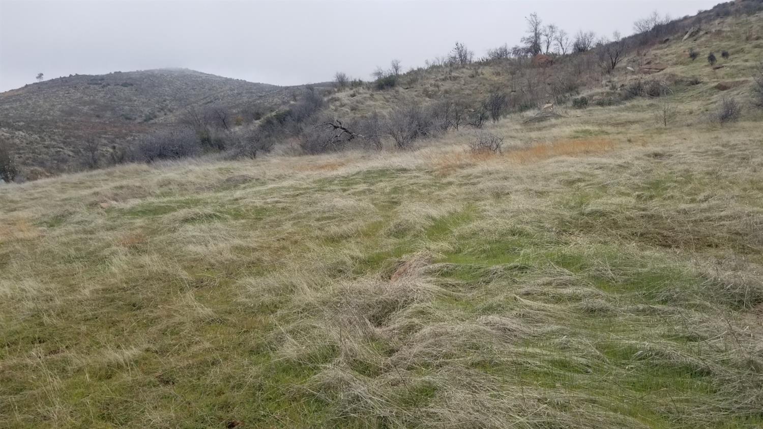 8256 Hunters Valley Road Mariposa, CA 95338 - Photo 8 of 9 Gallery Image 8