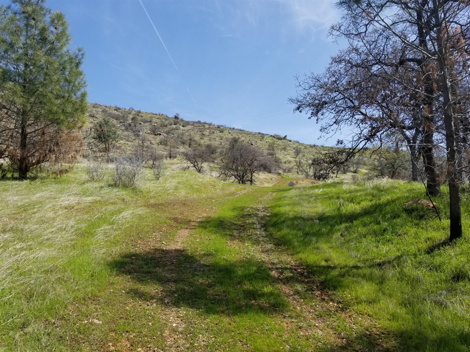 8256 Hunters Valley Road Mariposa, CA 95338 - Photo 9 of 9 Gallery Image 9
