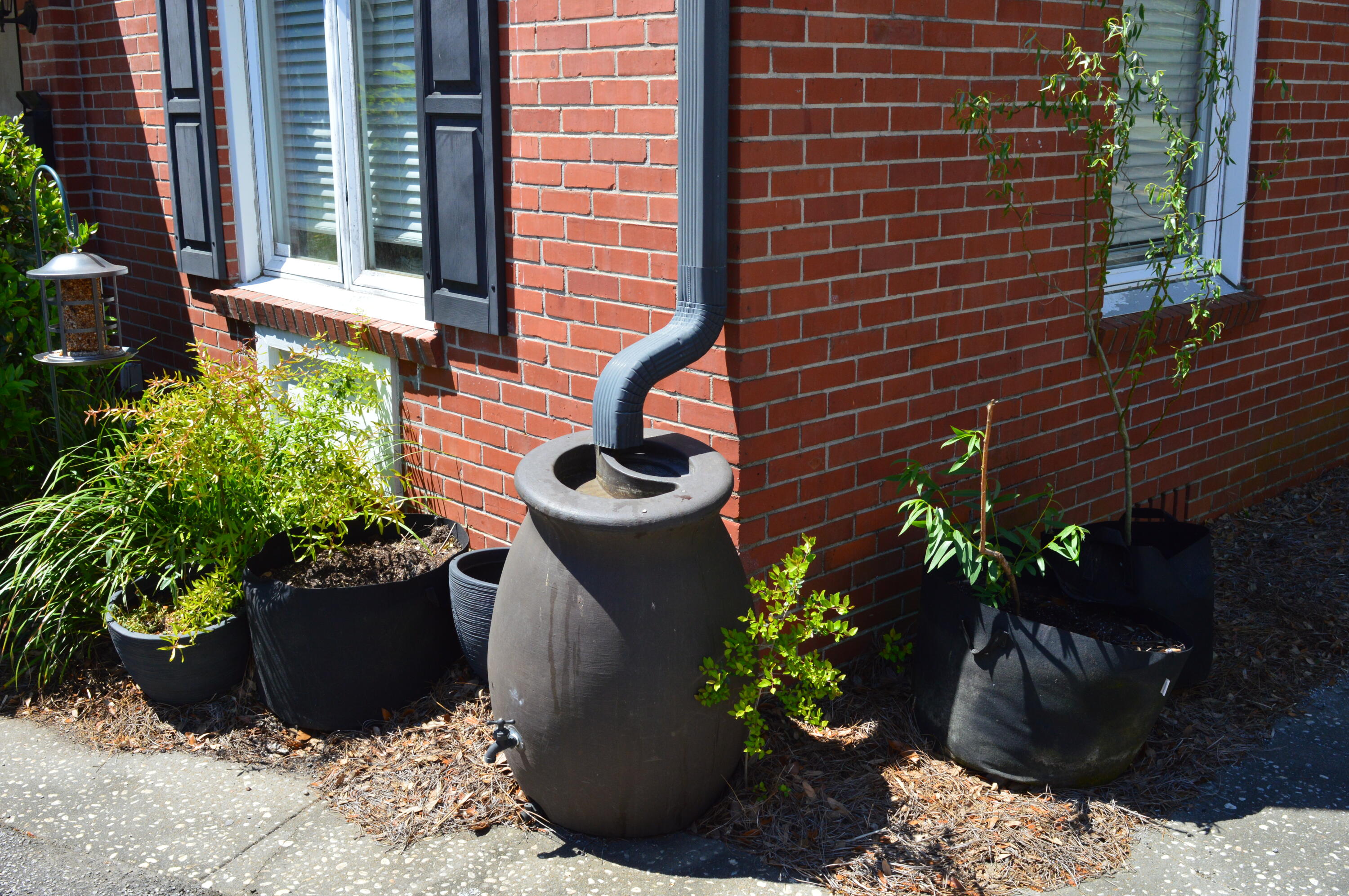 21 Hester Street, Unit 8 Charleston, SC 29403 - Photo 41 of 64 Rainbarrel