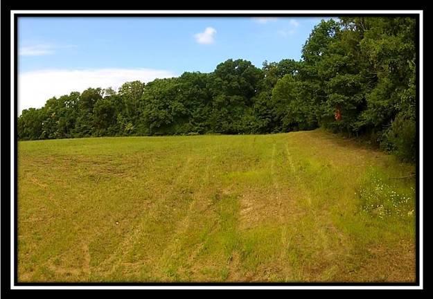 8724 Weiser Road Waldo, OH 43356 - Photo 4 of 8