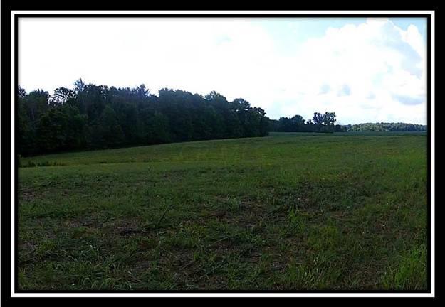 8724 Weiser Road Waldo, OH 43356 - Photo 6 of 8