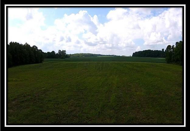 8724 Weiser Road Waldo, OH 43356 - Photo 7 of 8