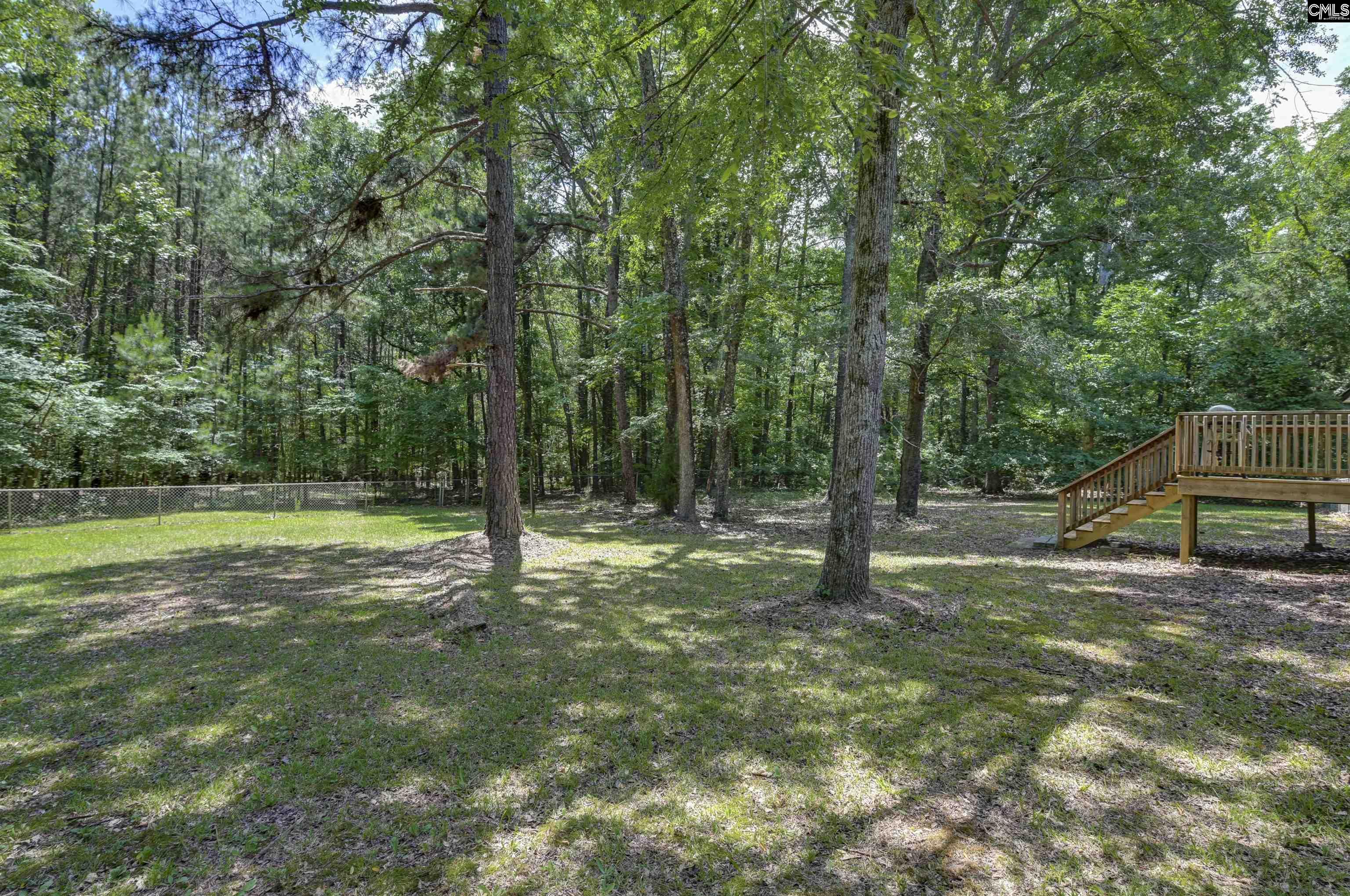 317 Horse Cove Road Gilbert, SC 29054 - Photo 23 of 86
