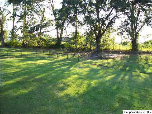 55 County Road 862 Clanton, AL 35045 - Photo 10 of 32