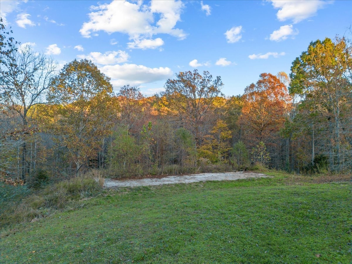1072 Claylick Road White Bluff, TN 37187 - Photo 47 of 72 Gallery Image 47