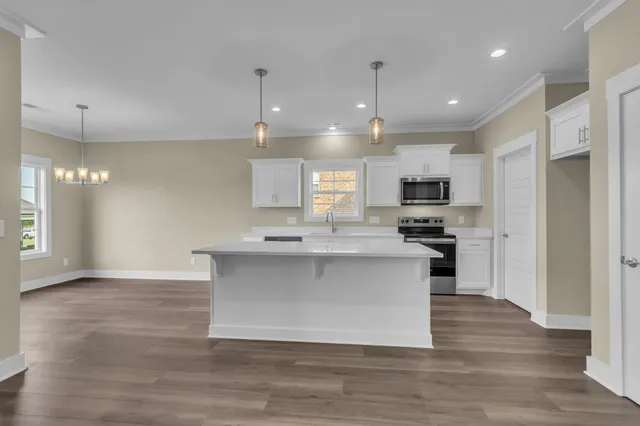 a kitchen with kitchen island a sink cabinets and stainless steel appliances