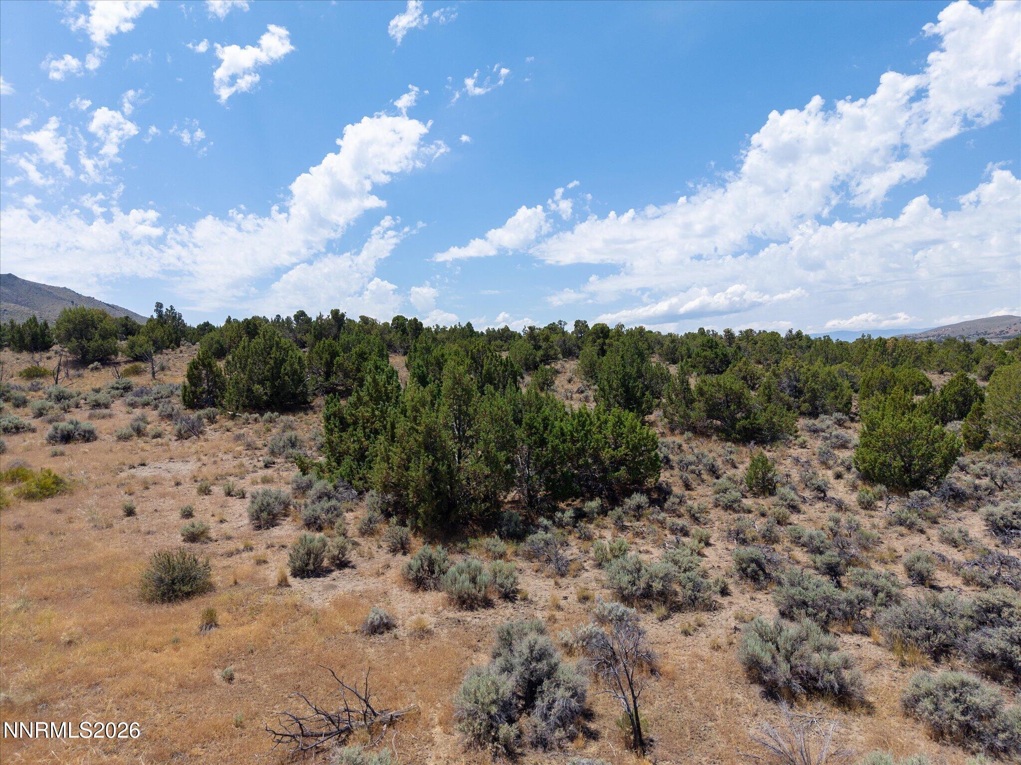1230 Deerlodge Road Reno, NV 89508 - Photo 39 of 44 06-1230 Deerlodge Rd-107