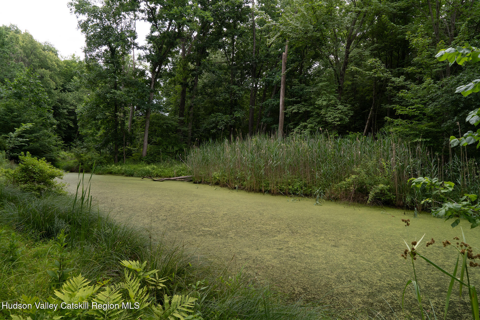 349 Gahbauer Road, Unit 45 Hudson, NY 12534 - Photo 15 of 17 _DSC3993