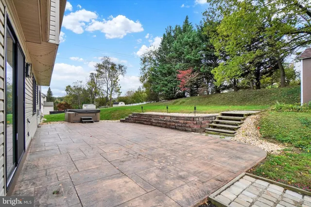 a view of a park with large trees