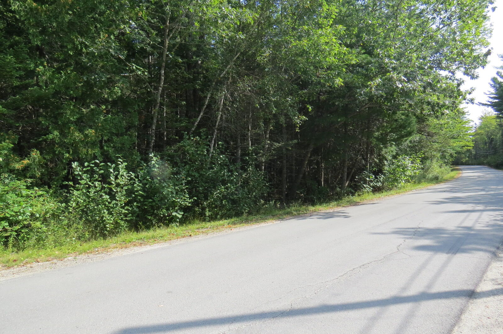 0 Donnell Pond Road Franklin, ME 04634 - Photo 15 of 21 IMG_9378