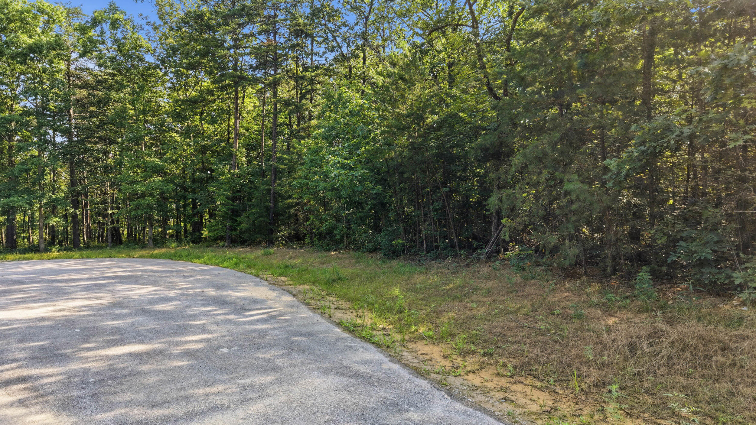 0 Timber View Road, Unit LOT 20 Pikeville, TN 37367 - Photo 16 of 18 Lot 20