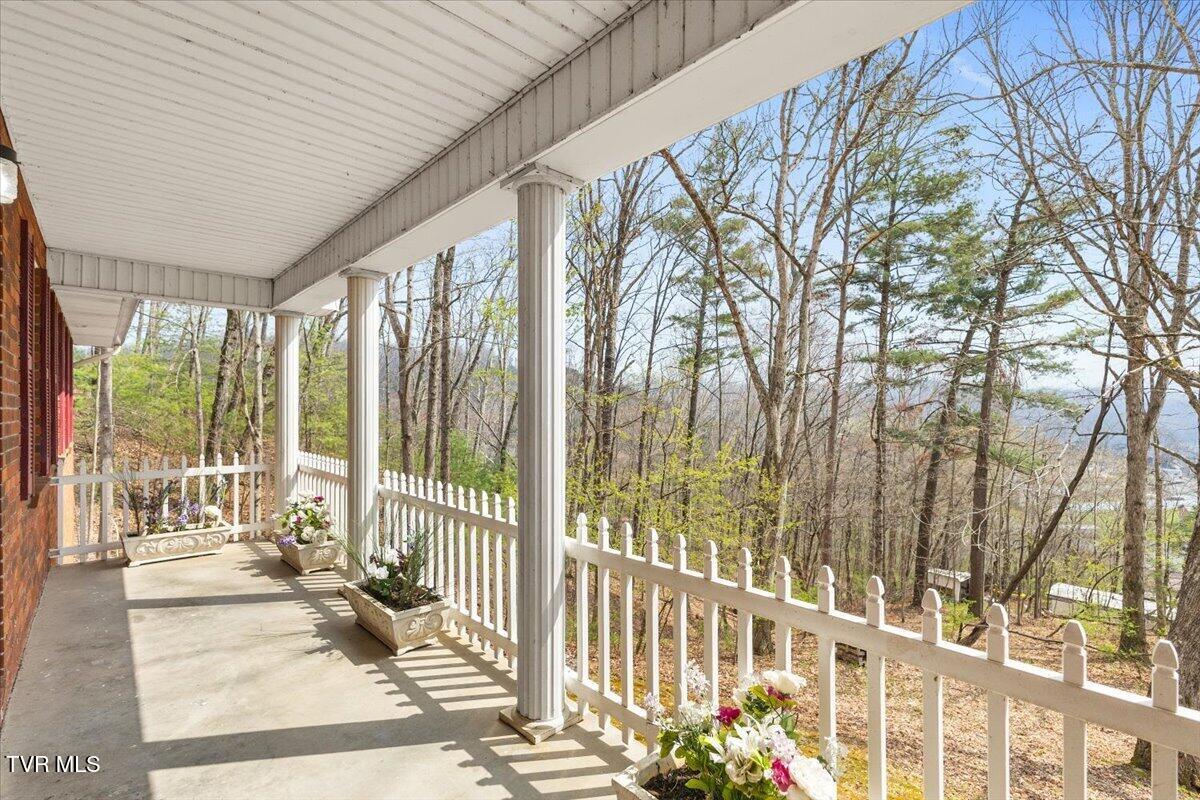 216 Fitzsimmons Hill Road Elizabethton, TN 37643 - Photo 8 of 39 07-128A9404