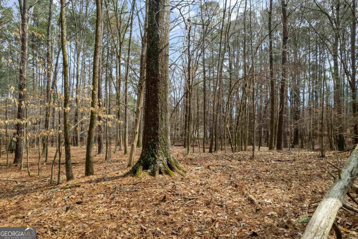 1071 Jacobs Creek Road Buckhead, GA 30625 - Photo 11 of 22