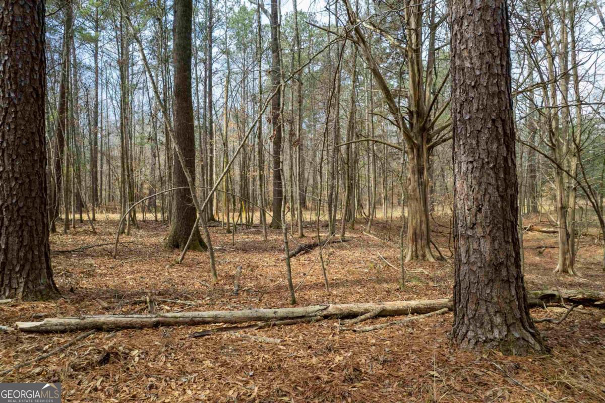 1071 Jacobs Creek Road Buckhead, GA 30625 - Photo 12 of 22