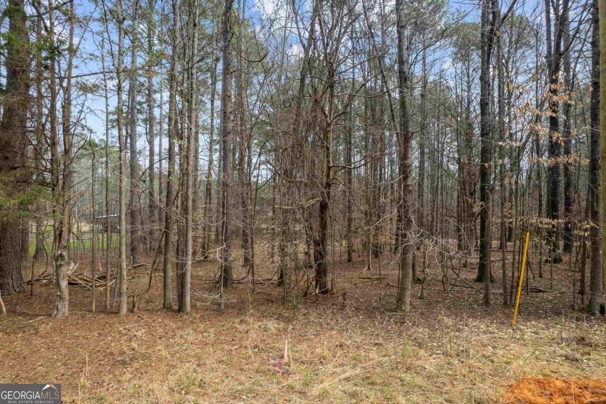 1071 Jacobs Creek Road Buckhead, GA 30625 - Photo 13 of 22