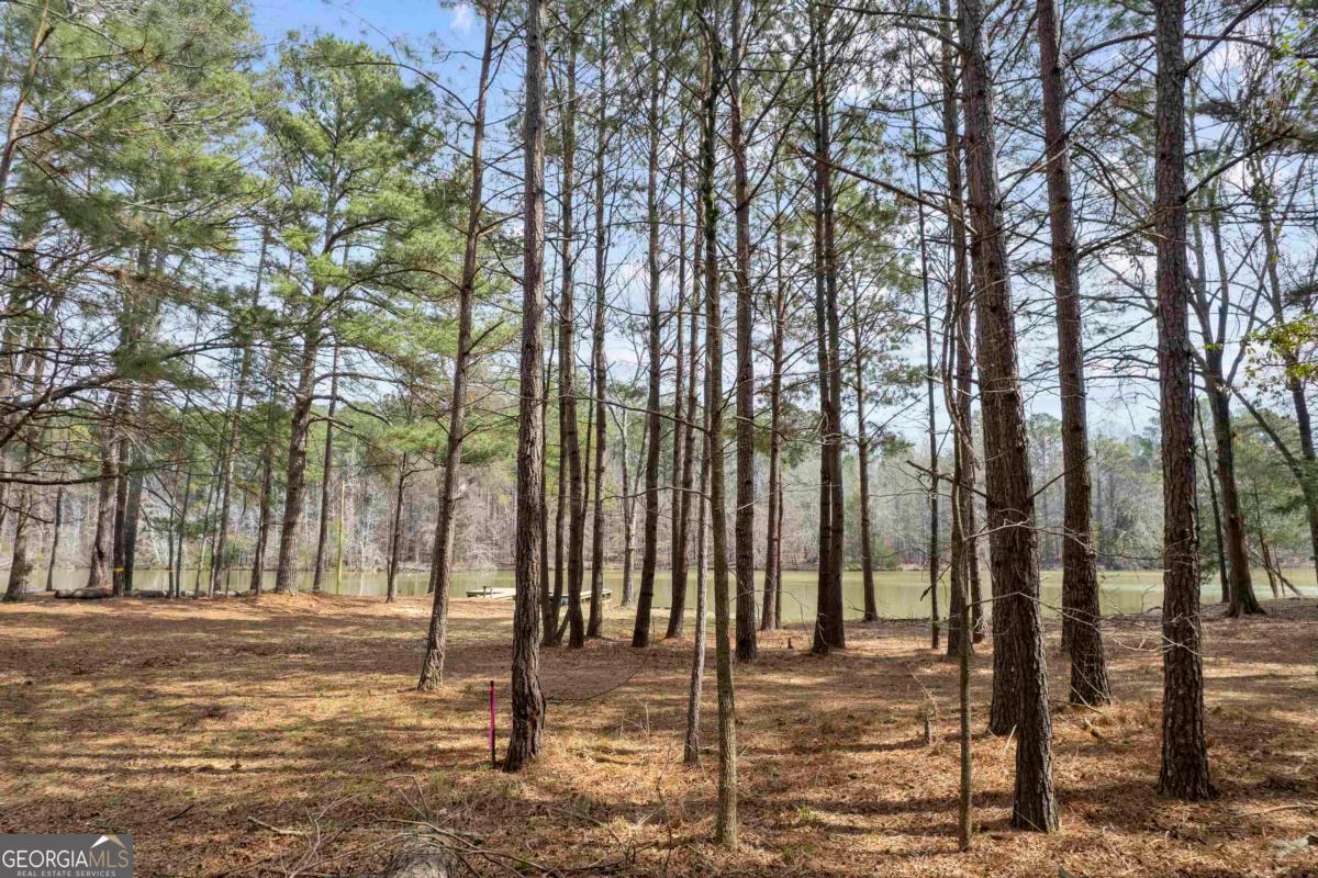 1071 Jacobs Creek Road Buckhead, GA 30625 - Photo 3 of 22