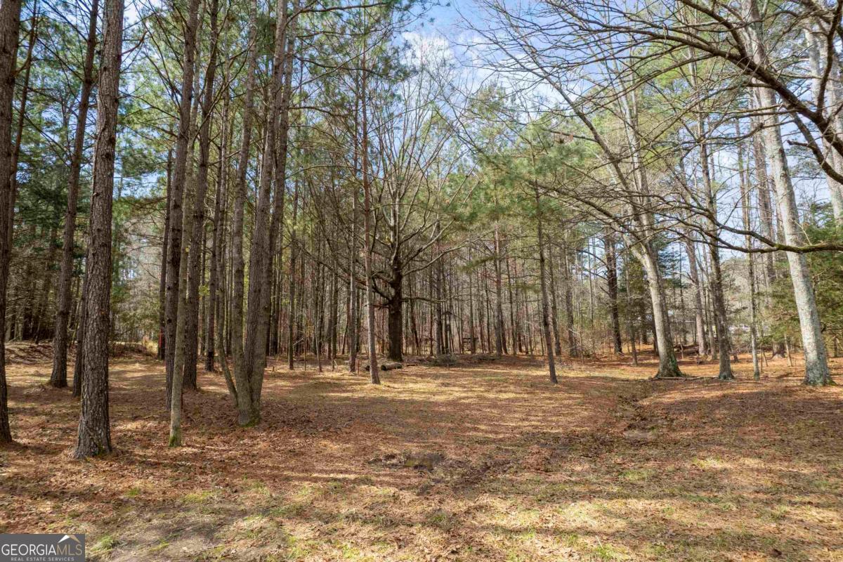 1071 Jacobs Creek Road Buckhead, GA 30625 - Photo 8 of 22