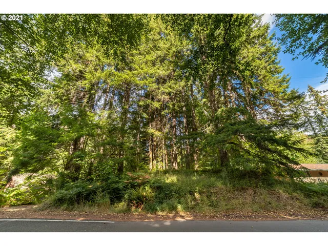 $14,999 | 71501 Fishhawk Road, Birkenfeld, OR 97016