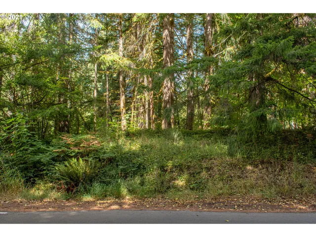 $14,999 | 71501 Fishhawk Road, Birkenfeld, OR 97016