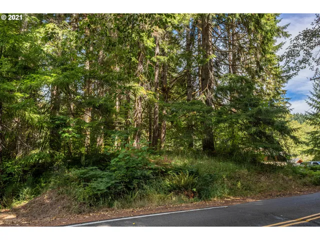 $14,999 | 71501 Fishhawk Road, Birkenfeld, OR 97016