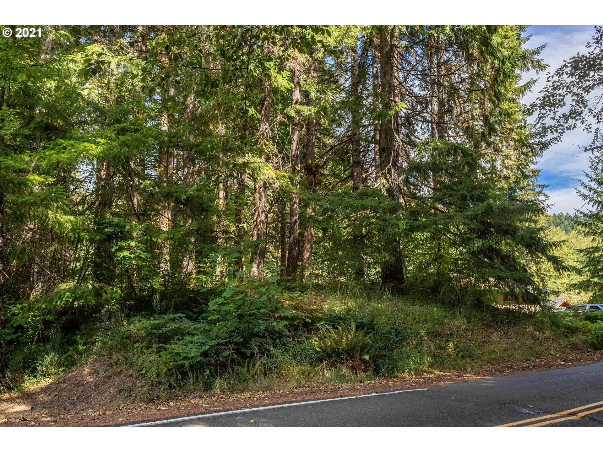 71501 Fishhawk Road Birkenfeld, OR 97016 - Photo 3 of 11