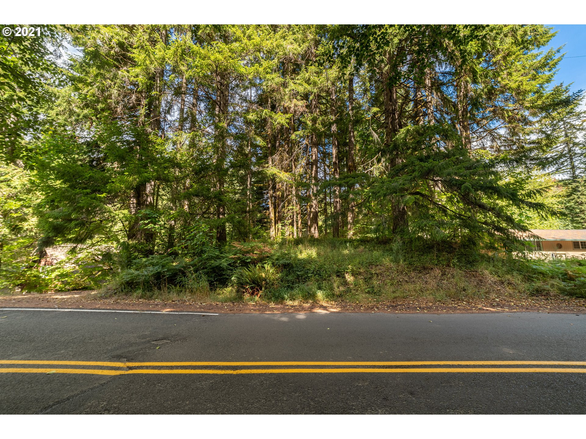 71501 Fishhawk Road Birkenfeld, OR 97016 - Photo 4 of 11