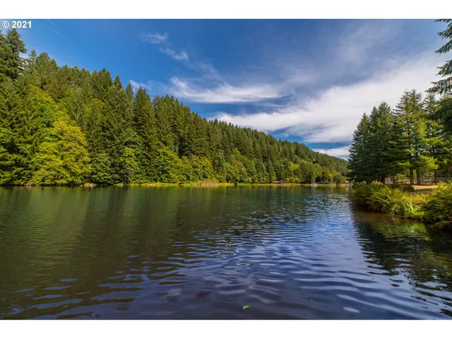 $14,999 | 71501 Fishhawk Road, Birkenfeld, OR 97016