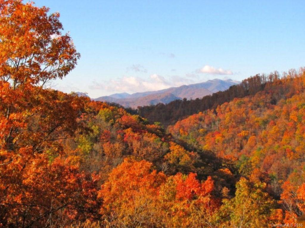 475 Look Out Point, Unit 3 Bryson City, NC 28713 - Photo 23 of 24 Gallery Image 23