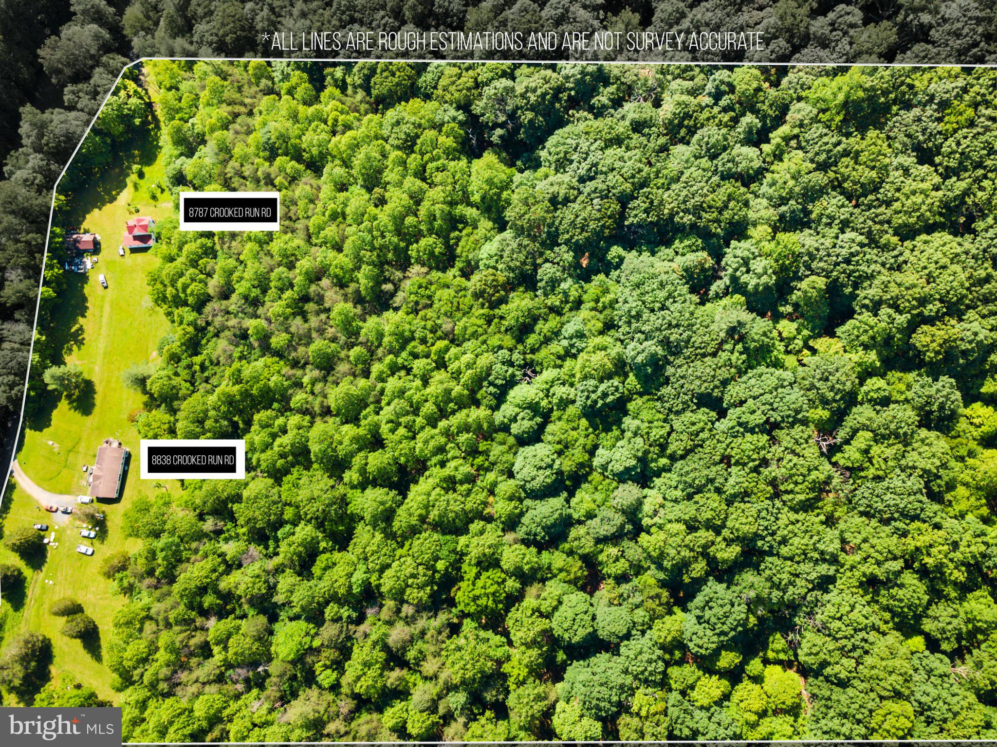8883 Crooked Run Road Basye, VA 22810 - Photo 16 of 22 a view of a wall with plants