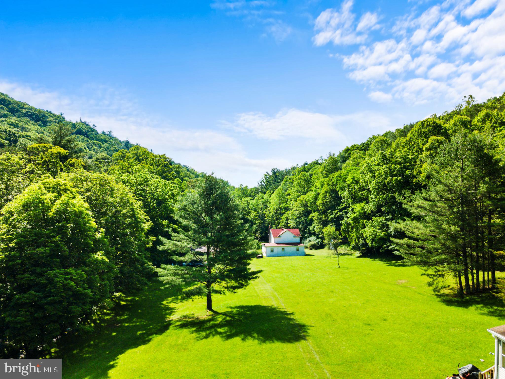 8883 Crooked Run Road Basye, VA 22810 - Photo 17 of 22 a view of yard with swimming pool and green space
