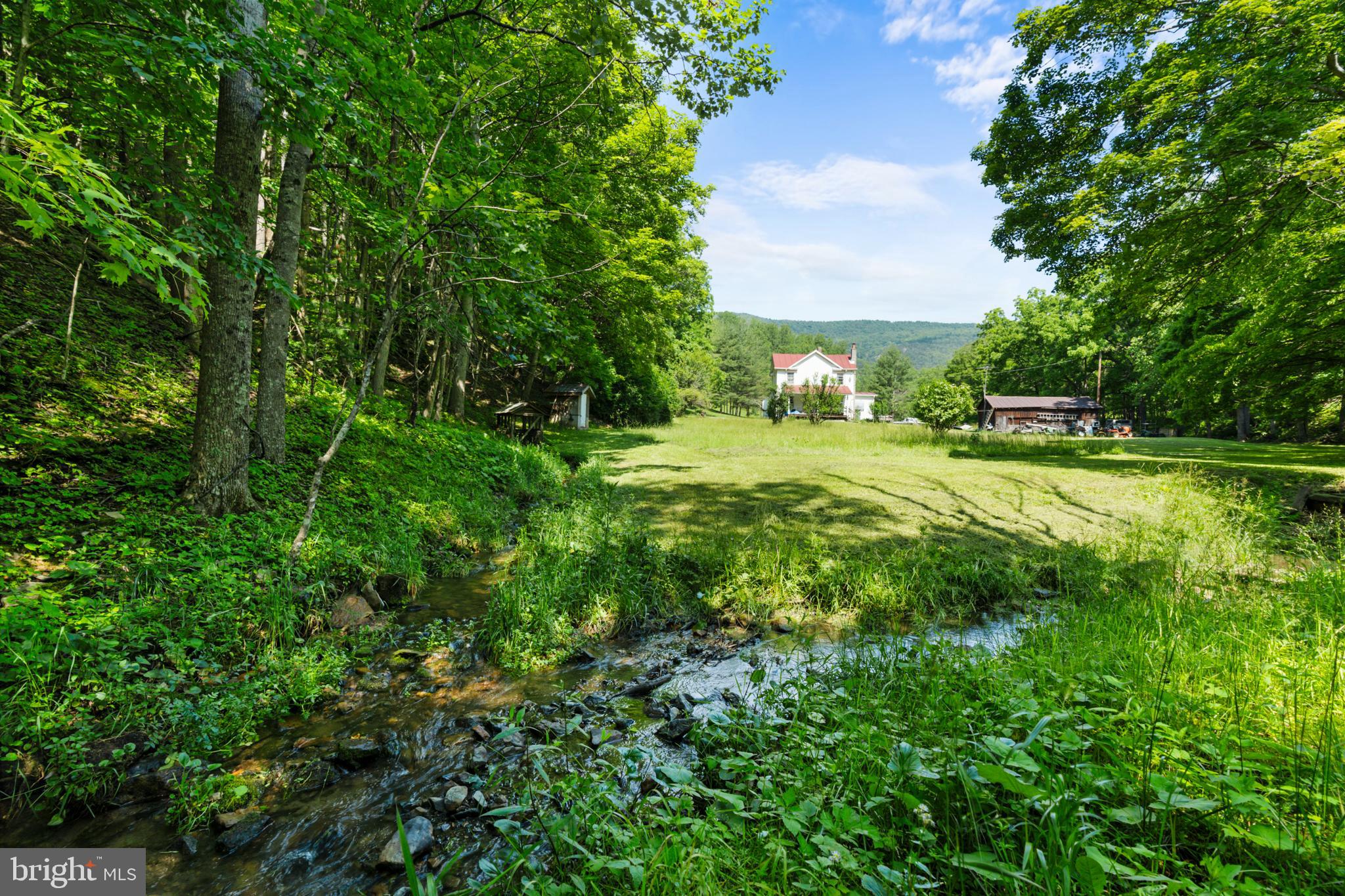 8883 Crooked Run Road Basye, VA 22810 - Photo 18 of 22 a view of a lush green space