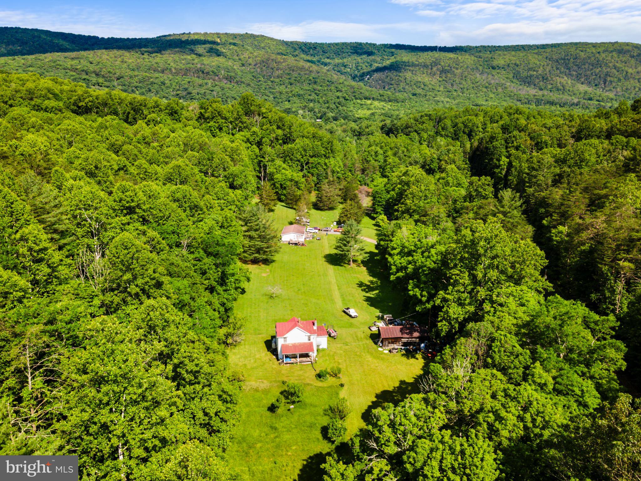 8883 Crooked Run Road Basye, VA 22810 - Photo 20 of 22 a view of a lush green field with a tree in the background