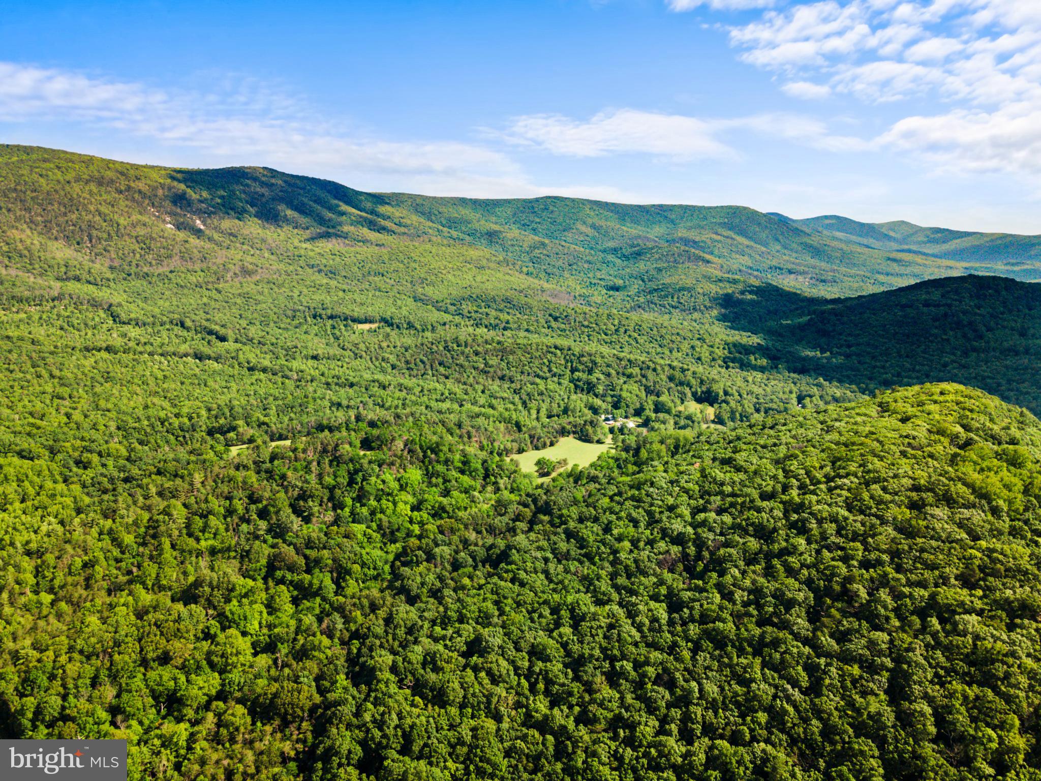 8883 Crooked Run Road Basye, VA 22810 - Photo 21 of 22 a view of a lush green field with a mountain in the background